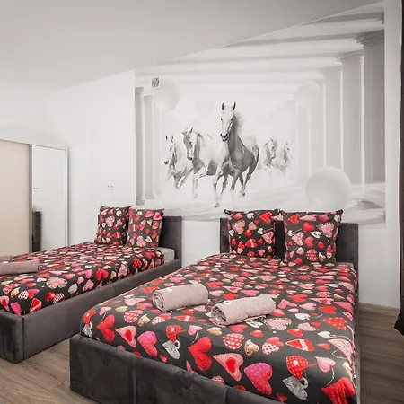 70s Guest 克拉科夫